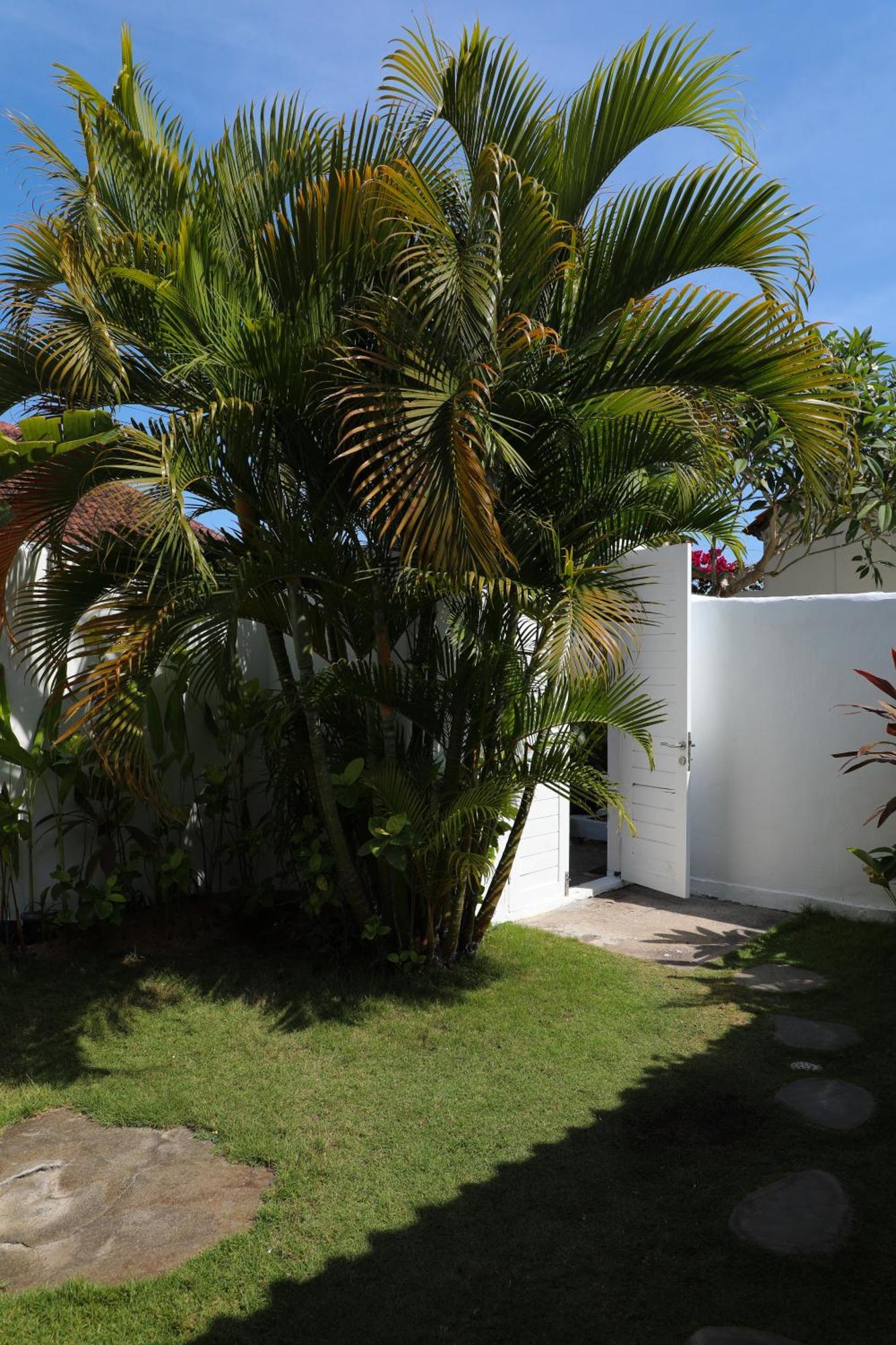 Villa Tom & Lucie Bingin Beach Улувату Екстер'єр фото